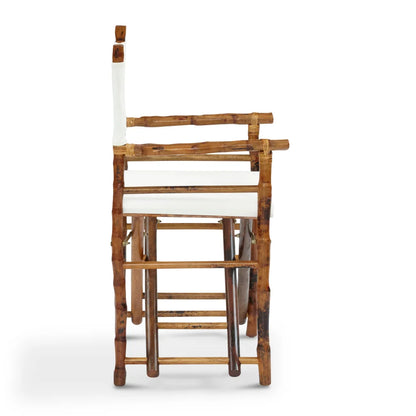 Folding Campaign Director Chair